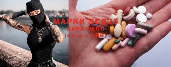 ПСИЛОЦИБИНОВЫЕ ГРИБЫ Касимов