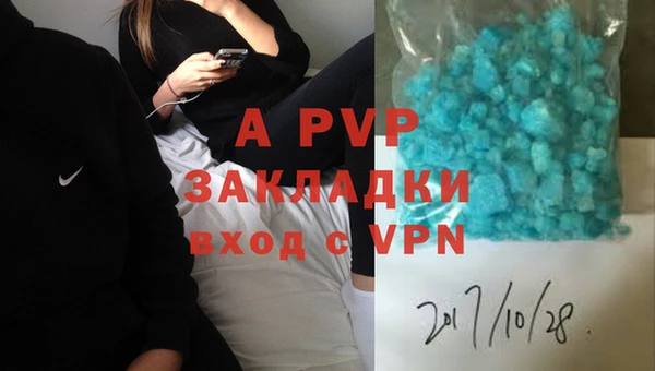 ПСИЛОЦИБИНОВЫЕ ГРИБЫ Касимов