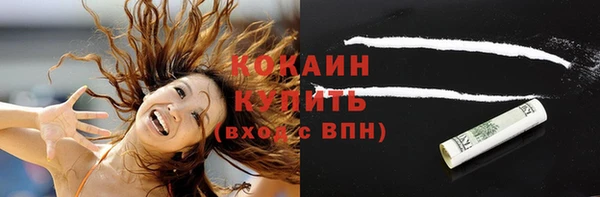 ПСИЛОЦИБИНОВЫЕ ГРИБЫ Касимов