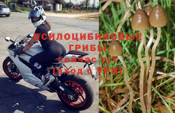 не бодяженный Кинешма