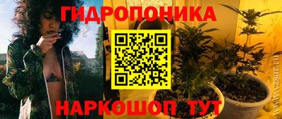 круглые Лесосибирск