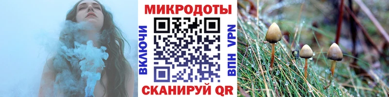 Псилоцибиновые грибы мицелий  Реутов 