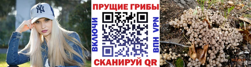 Псилоцибиновые грибы мухоморы Реутов