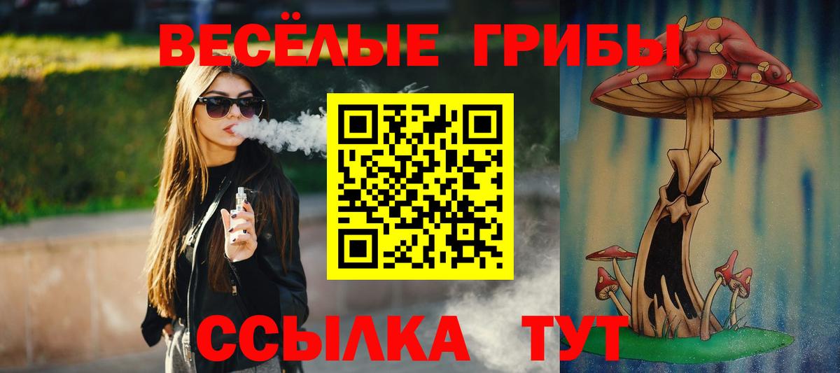хочу наркоту  Вход с VPN  Реутов  Псилоцибиновые грибы Psilocybe 